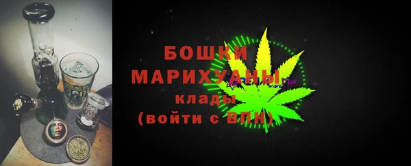 бошки Горняк