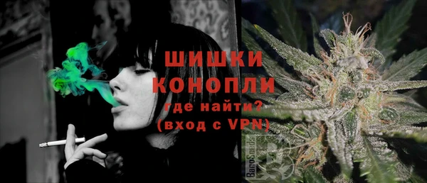 тгк Горно-Алтайск